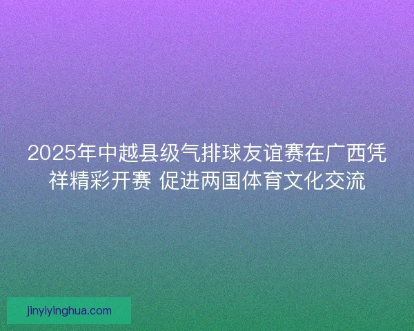 2025年中越县级气排球友谊赛在广西凭祥精彩开赛 促进两国体育文化交流