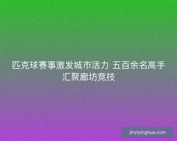 匹克球赛事激发城市活力 五百余名高手汇聚廊坊竞技