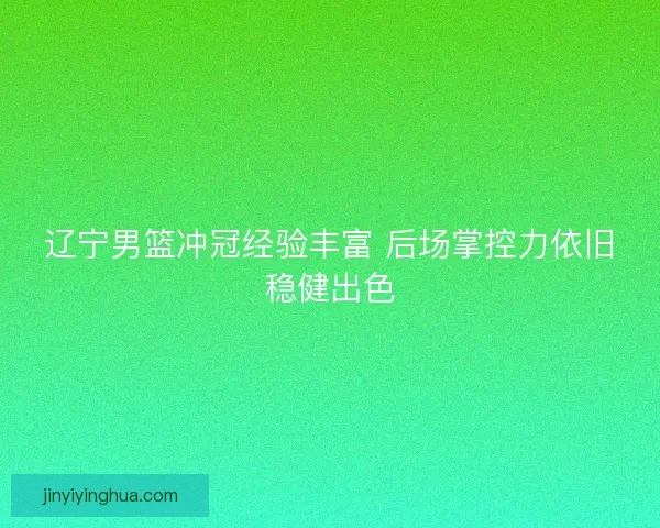 辽宁男篮冲冠经验丰富 后场掌控力依旧稳健出色